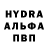 Конопля Bruce Banner Asel Buldybaeva