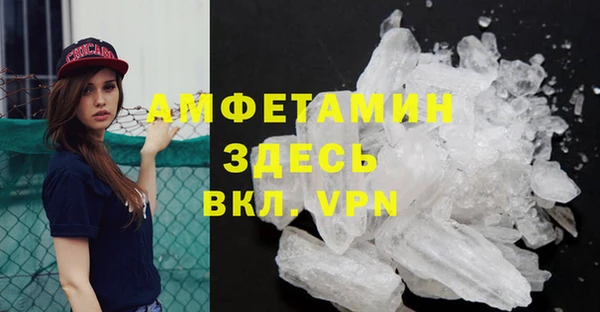 крисы Алексин