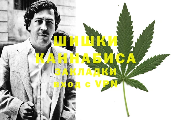 apvp Алзамай