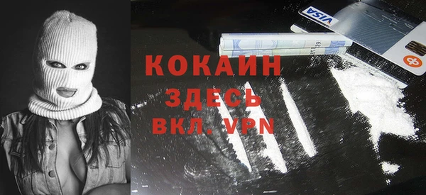 apvp Алзамай