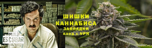 apvp Алзамай