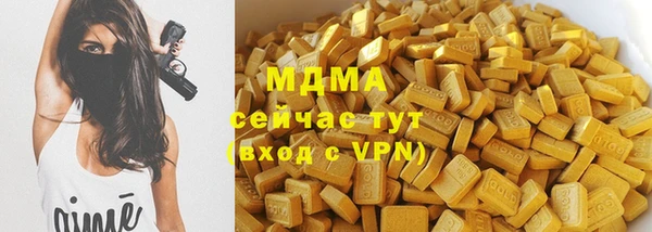 индика Сатка