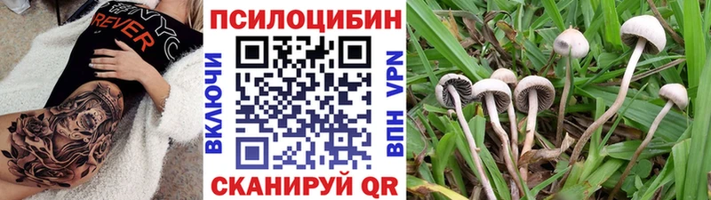 Галлюциногенные грибы Magic Shrooms как найти закладки Карабаш